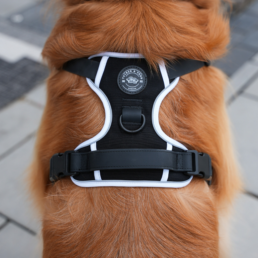 Reflective Comfort Padded Dog Harness with Traffic Handle