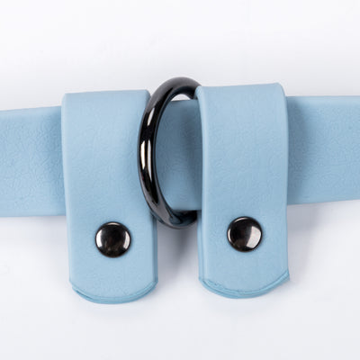 Multi-Use Dog Leash - Blue & Grey