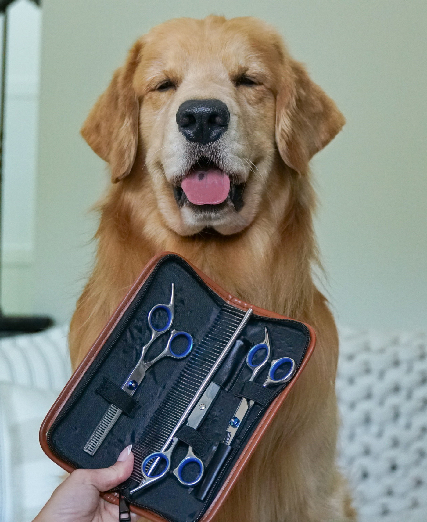 Pawdicure Grooming Kit